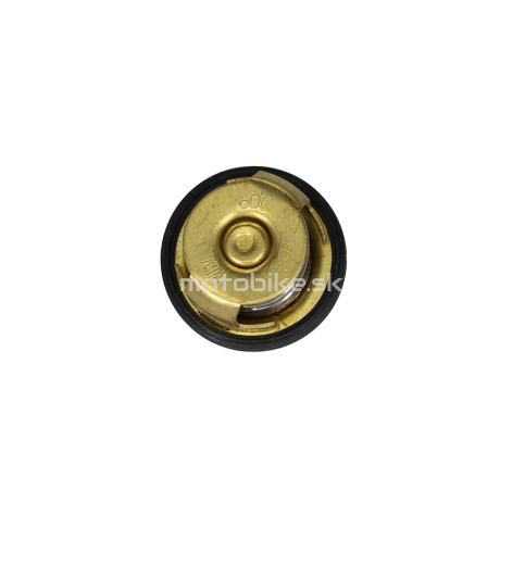 Termostat ATV250 ST-9E 60°C