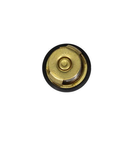 Termostat ATV250 Bashan ST-9E 60°C