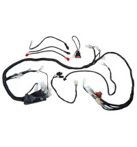 Kabeláž ATV 200 BASHAN BS250S-5