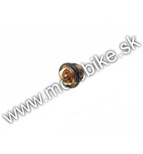 Termostat ATV250 Bashan ST-9E 