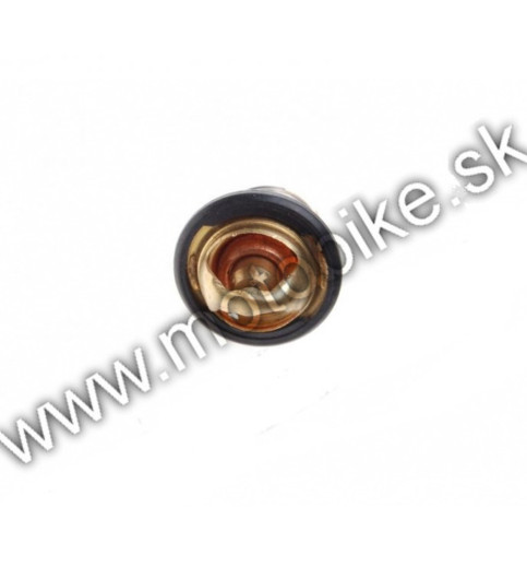 Termostat ATV250 Bashan ST-9E 